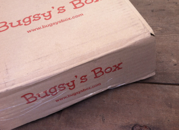 Bugsy’s Box – October 2012 Review – Plus Coupon Code! Monthly Pet and Dog Subscription Boxes