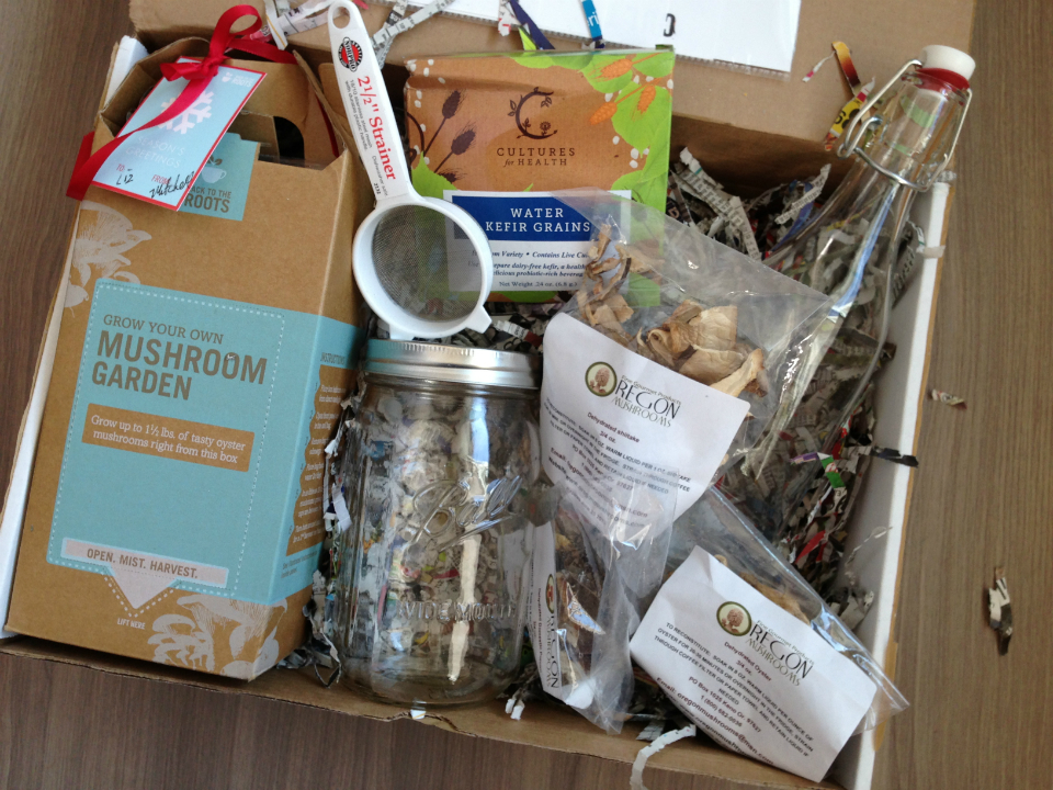 The Homegrown Collective Review – Eco Friendly Green Subscription Boxes – Plus Giveaway!