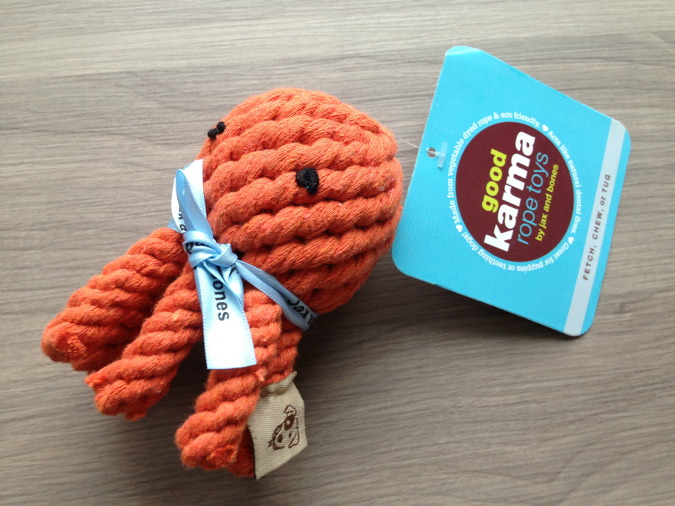 Barkbox January 2013 Review - Monthly Subscription Boxes for Dogs