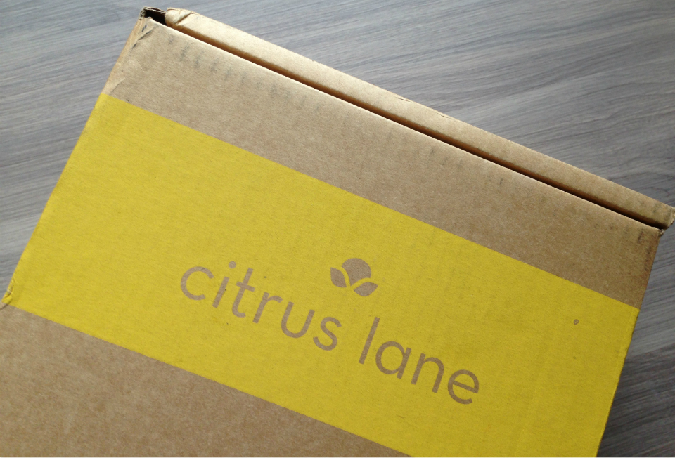 Citrus Lane Review - January 2013 - Monthly Baby and Kids Subscription Boxes