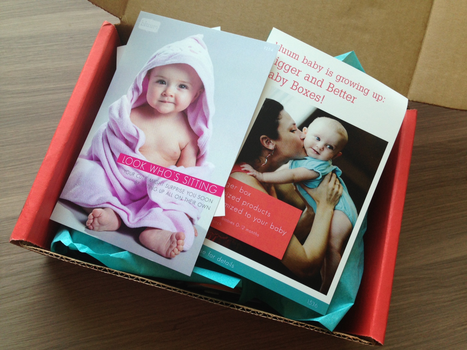 Bluum Box Review – February 2013 – Monthly Baby Subscription Boxes