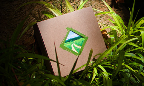 Amazing Conscious Box Coupon Code - 50% Off Any Subscription!
