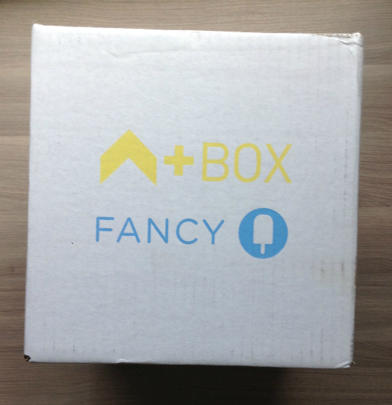 Ashton Kutcher Fancy Box Subscription Review & Coupon Code - April 2013