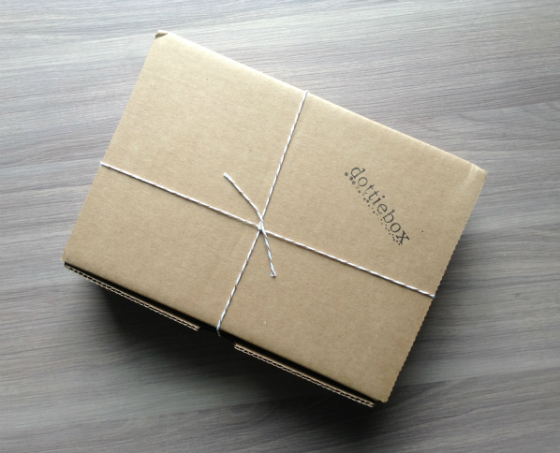 Dottie Box Review - Handmade Indie Subscription Boxes - March 2013