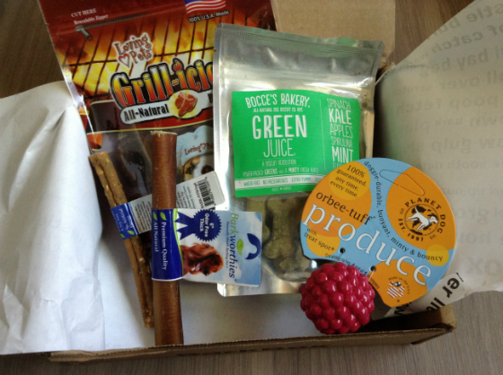 Barkbox Review & Coupon Code - Monthly Dog Subscription Boxes