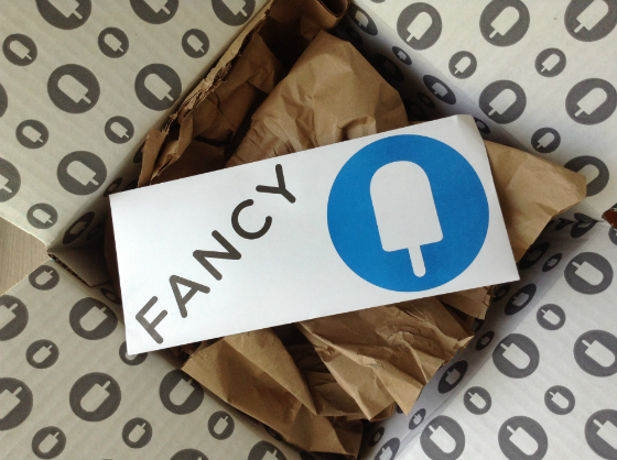 Coco Rocha Fancy Box Subscription Review & Coupon - May 2013