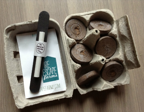 The Homegrown Collective Subscription Box Review - May 2013