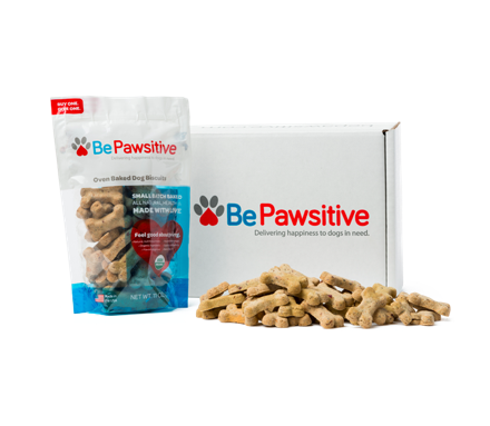 New Monthly Dog Subscription Box Service! Be Pawsitive