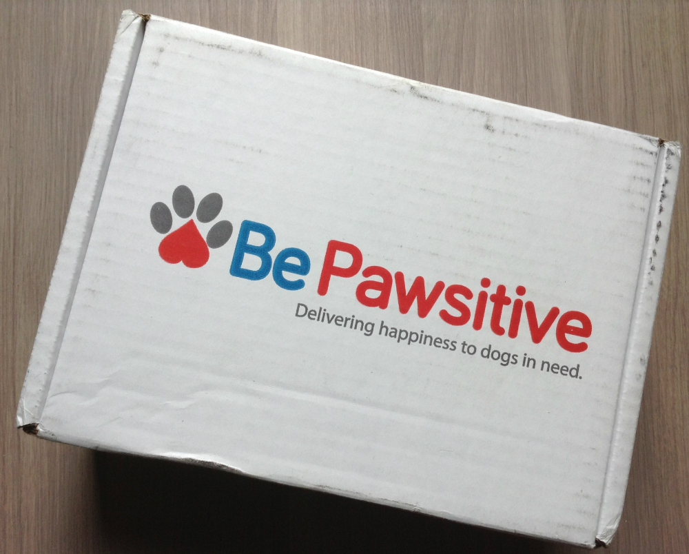 Be Pawsitive Review – Dog Treat Subscription Box Service