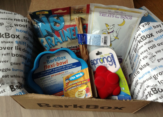 BarkBox Review & Coupon - July 2013