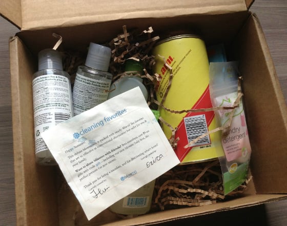 Blissmo Box Review - Cleaning Favorites - July 2013