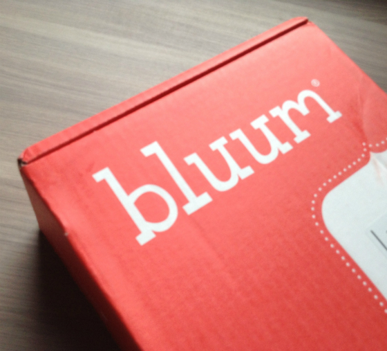Subscription Boxes for Babies - Bluum Box Review - July 2013