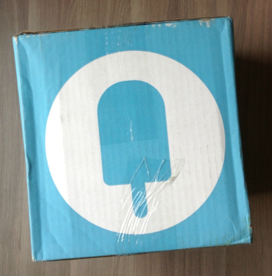 Fancy Box Subscription Review - June 2013