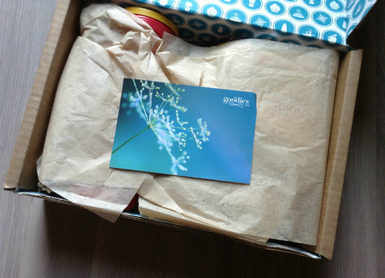 Goodies Co. Box Review - Monthly Food Tasting Subscription