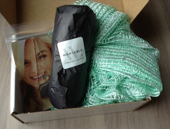 Wantable Accessories Subscription Box Review - July 2013
