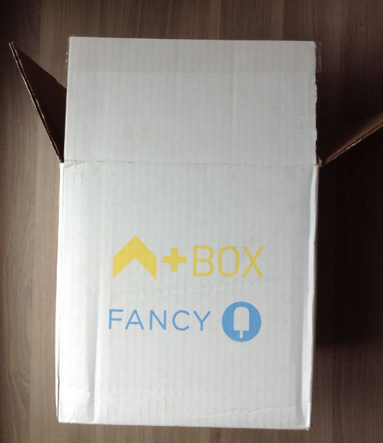 Ashton Kutcher Fancy Box Subscription Review - August 2013