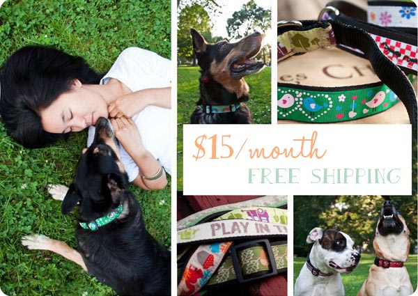 New Dog Subscription Box: Good Day Dog