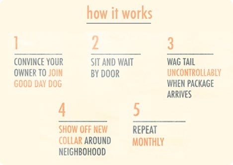 dog subscription
