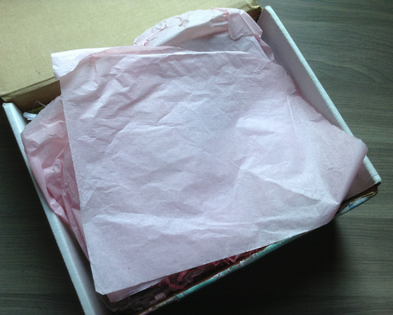 Supplet Review - Subscription Boxes for Moms to Be!