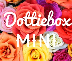 New Subscription from Dottie Box: Dottie Box Mini!