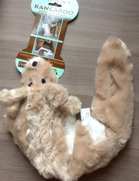 Barkbox Review + $15 Coupon Code - Sept 2013