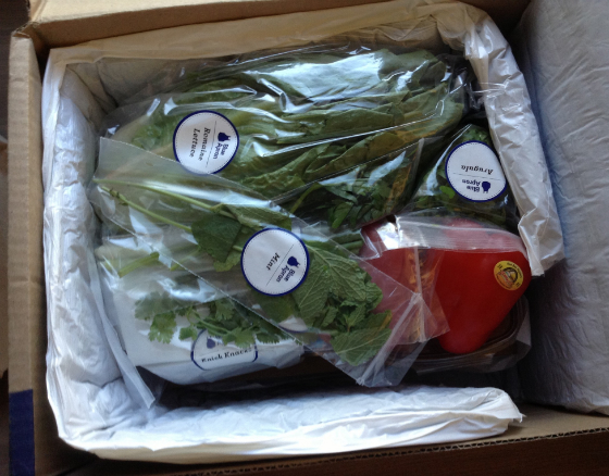 Blue Apron Review - Meal Subscription Box Service