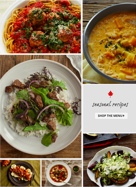 New Plated Menu for 11/11 & 50% Off Coupon!