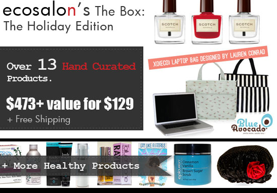 EcoSalon's The Box: Holiday Edition Available Now! 