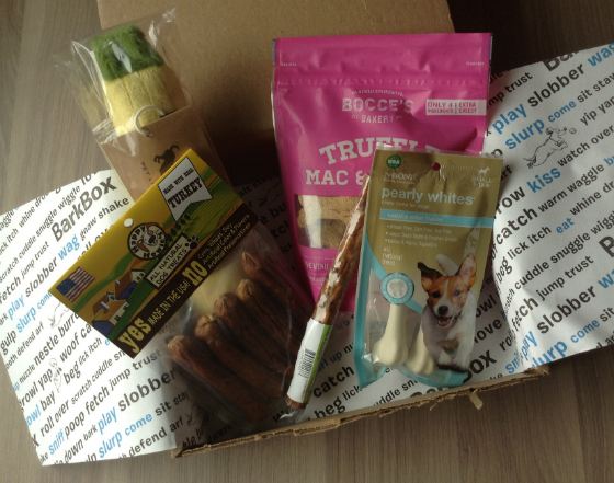 Barkbox Review & $12 Coupon - November 2013