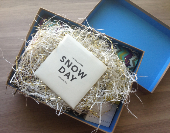 Birchbox Snow Day Limited Edition Box Review