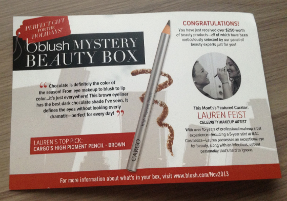 Blush Mystery Beauty Box Review - November 2013