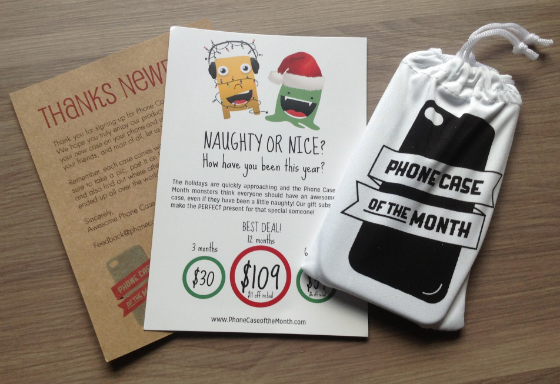 Phone Case of the Month Club Review - November 2013