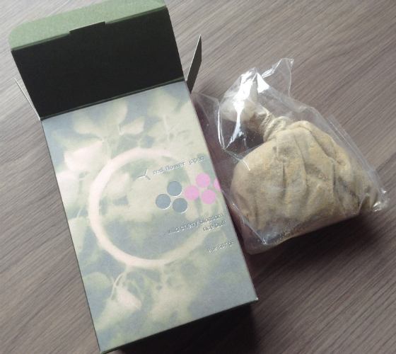 Saffron Rouge Inner Circle Beauty Box Review - Nov 2013