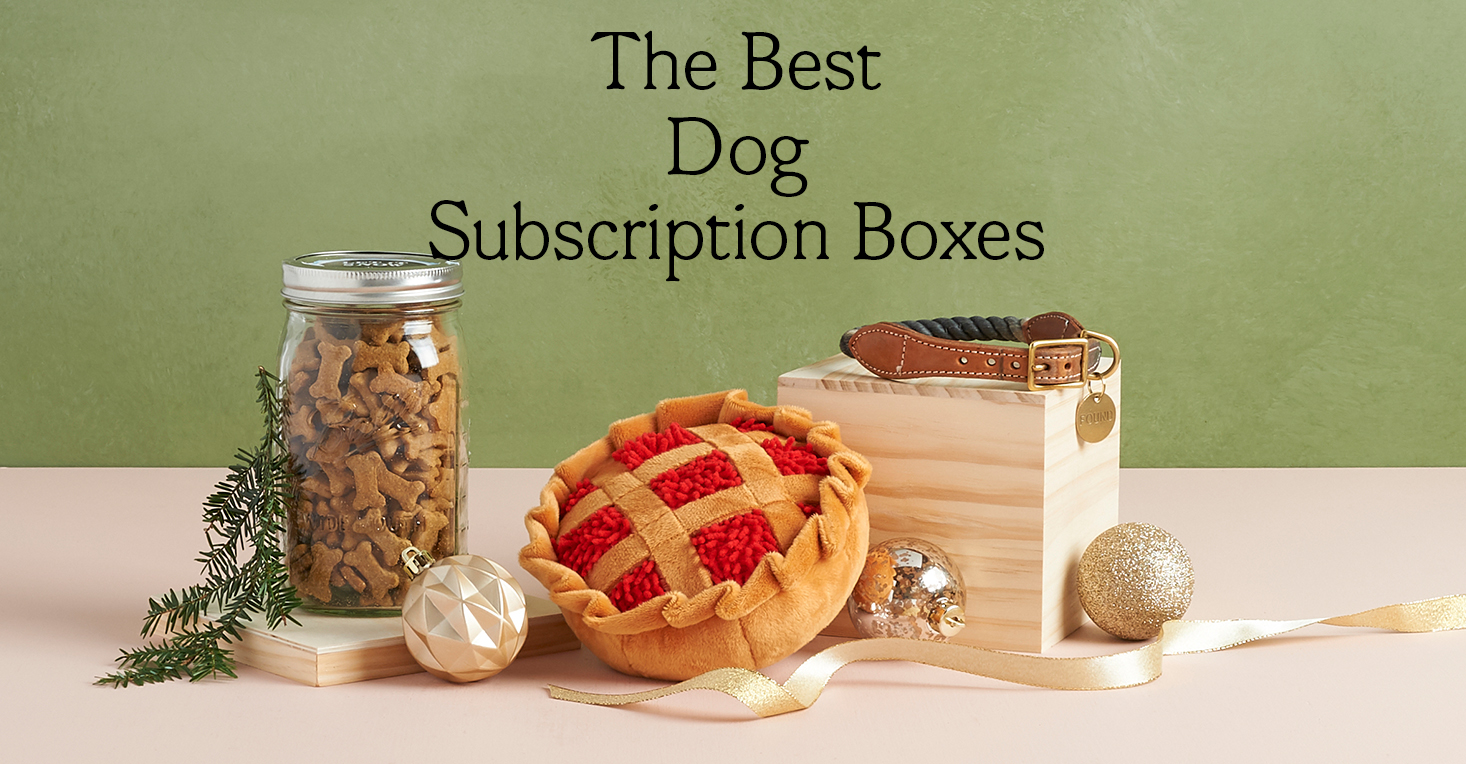 The Ultimate List of Dog Gifts for Dogs and Their Humans