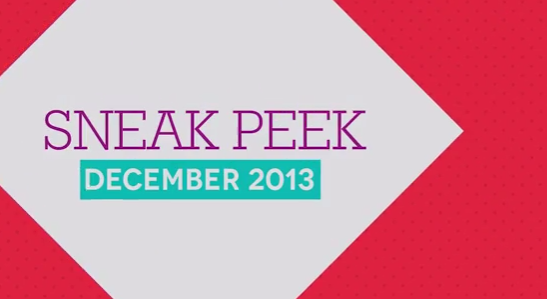 Birchbox December 2013 Sneak Peek!