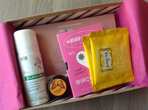 Birchbox vs Ipsy December 2013