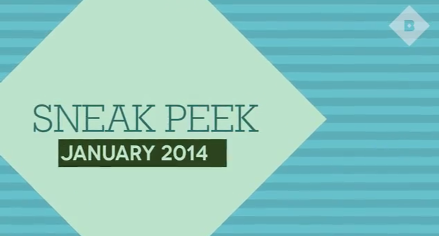 Birchbox Man January 2013 Sneak Peek! Spoilers
