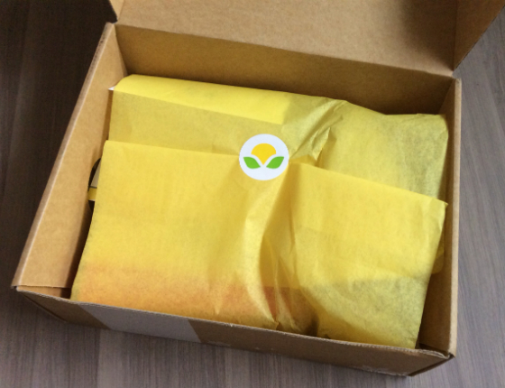 Citrus Lane Review & Coupon - December 2013 Review