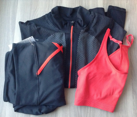 Fabletics Clothing Subscription Review - December 2013