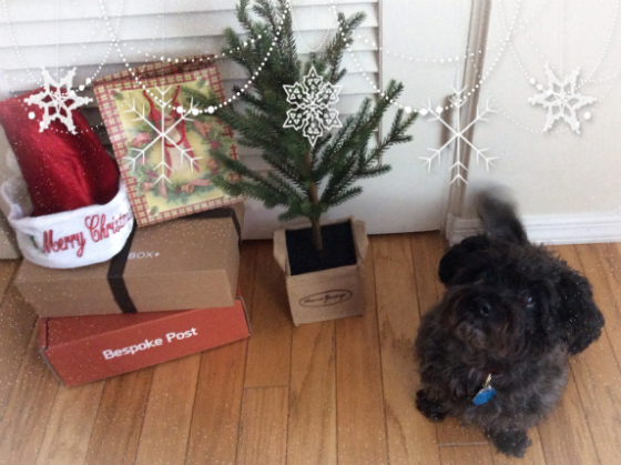 Happy Holidays!