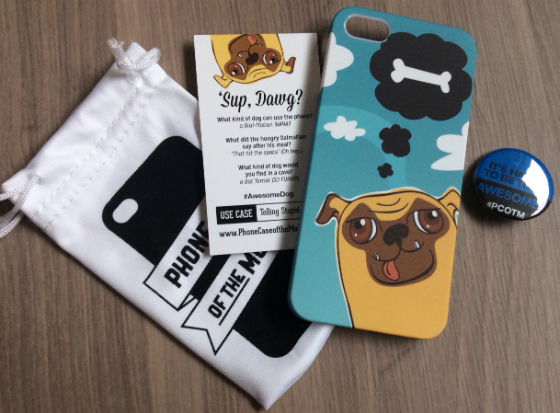 Phone Case of the Month Subscription Review - Dec 2013 case