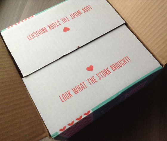 Stork Stack Subscription Box Review - December 2013