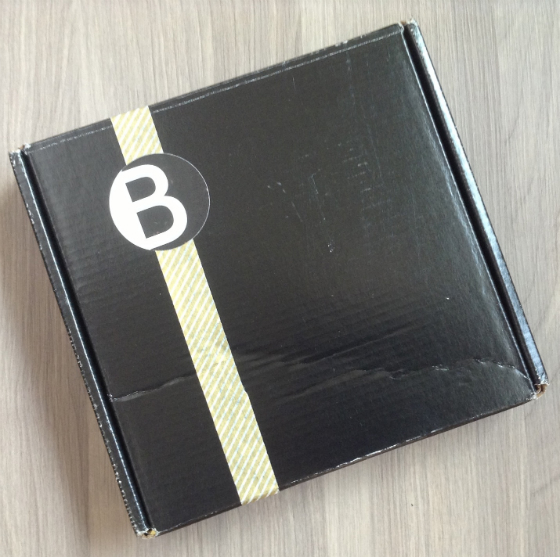 Your Bijoux Box Subscription Review - December 2013