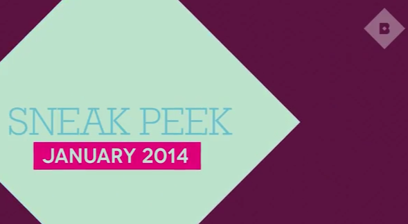 Birchbox January 2014 Spoilers!