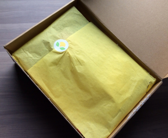 Citrus Lane Review & Coupon Code - January 2014 Box