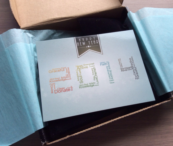 Your Bijoux Box Review & Coupon - January 2014 Subscription
