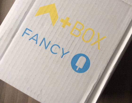 Ashton Kutcher Fancy Box Review & Coupon - Jan 2014 Box