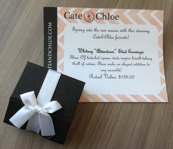 Cate & Chloe Jewelry Subscription Box Review - Feb 2014 Shipment 2 Card