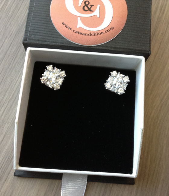 Cate & Chloe Jewelry Subscription Box Review - Feb 2014 Earrings