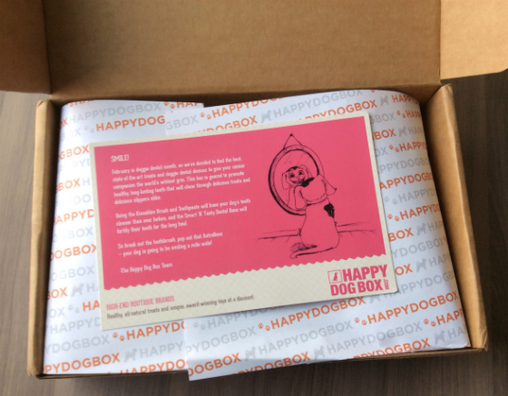 happy-dog-box-feb-dental